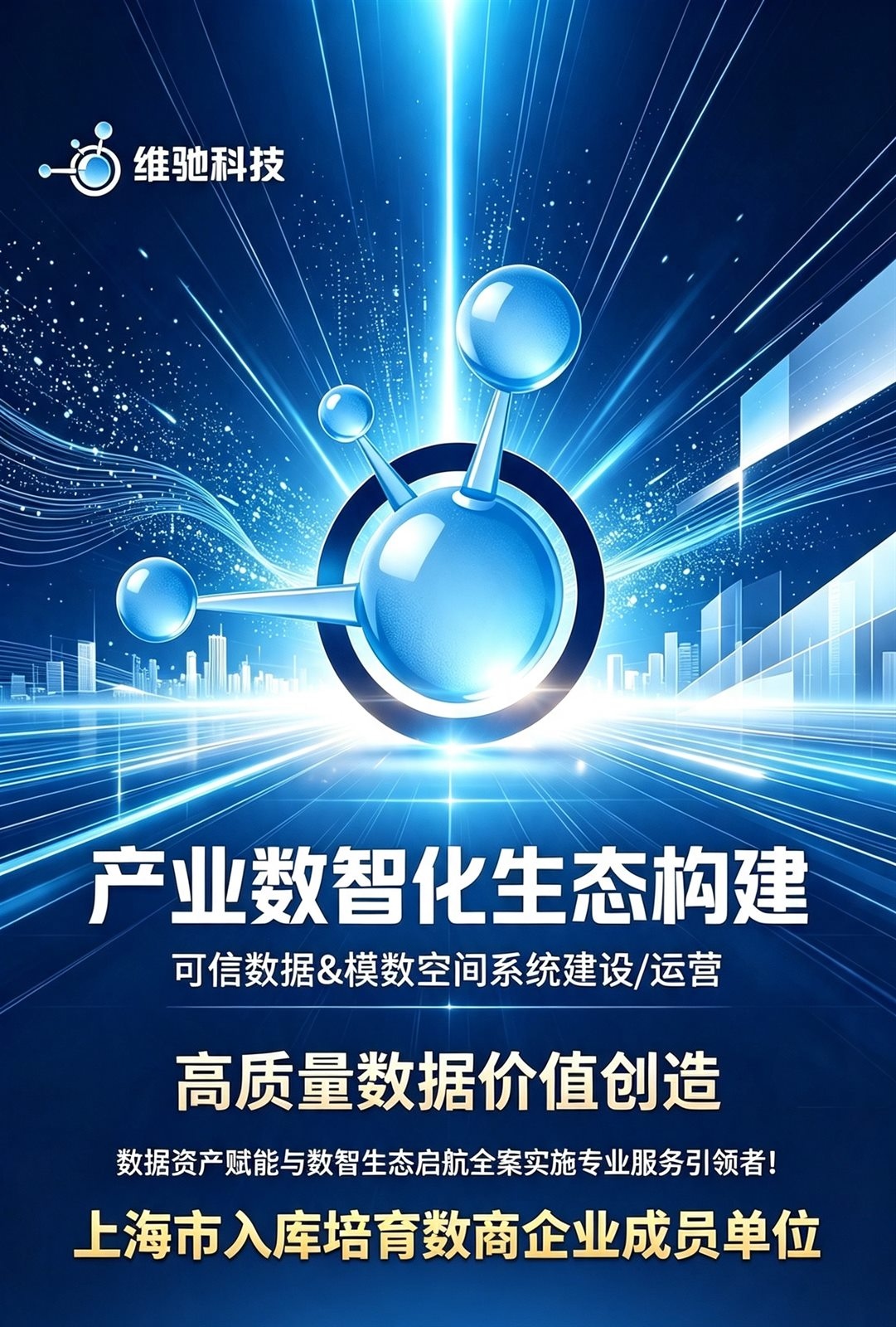 上海维驰数码科技有限公司宣传海报